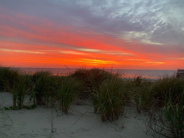 Welcome to Bethany Beach. Bethany at Sunrise