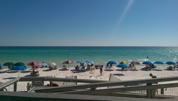 The beach