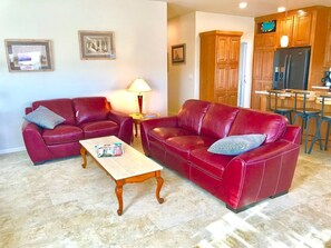 Living room with top grain leather couches