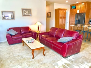 Living room with top grain leather couches