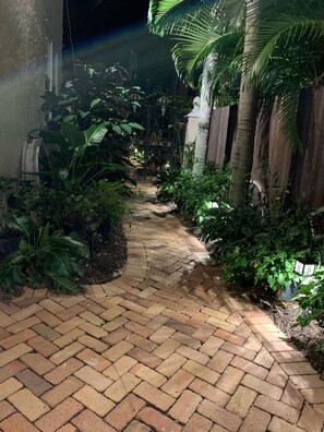 Tropical garden walkway