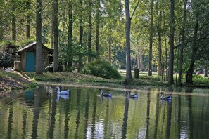 Boendeområde