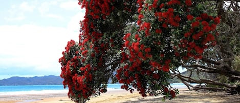 Εξωτερικός χώρος καταλύματος