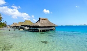 Brando's World Famous Over Water Bungalow! Heaven on earth!