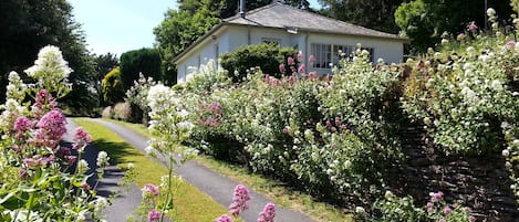 Jardines del alojamiento