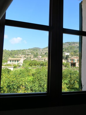 Views from the master bedroom: orange and lemon trees! 