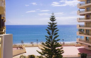 Our majestic tree guards the garden and the sea.