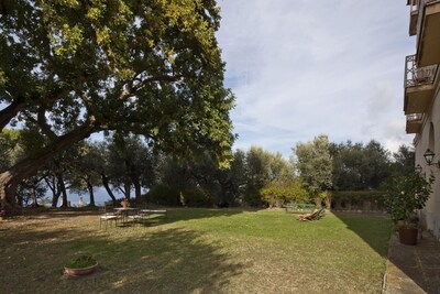 Apartment/ flat - Sorrento - Villa with panoramic garden