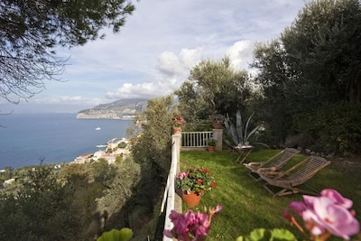 Apartment/ flat - Sorrento - Villa with panoramic garden