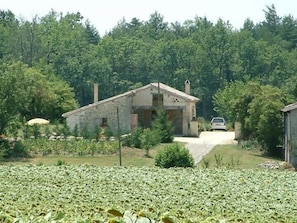 Extérieur