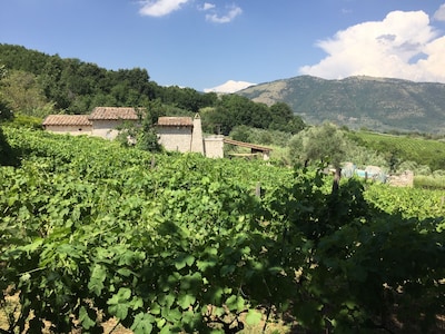 Landhaus mit Charakter, Schwimmbecken auf Weinbauanwesen 50 km südlich von Rom
