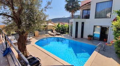 Picture of villa