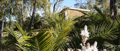 Jardines del alojamiento