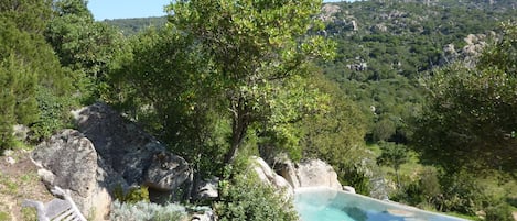 Award winning natural stone pool.