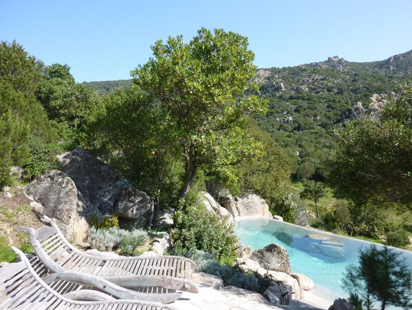Award winning natural stone pool.