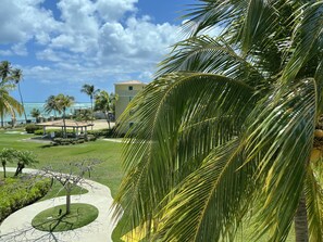 The view to the Ocean 