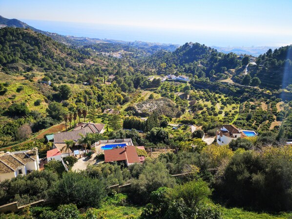 Views from the house