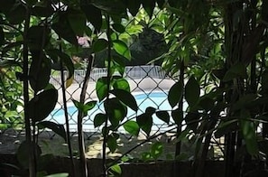 Garden view of pool area