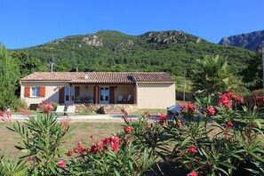 Backside of the house, all day sun