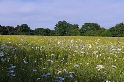 Stunning barn. Smaller groups (min 6) welcomed at reduced rates until 21 June