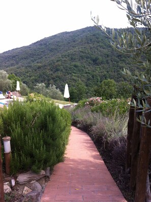 Path leading to swimming pool