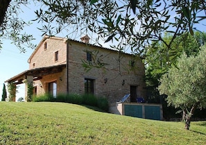 Seen from the olive grove