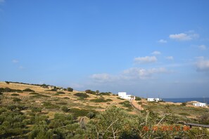 Oklassificerad bild, 5 av 49, knapp