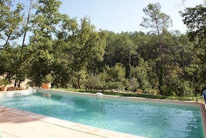 View of the forest from the pool