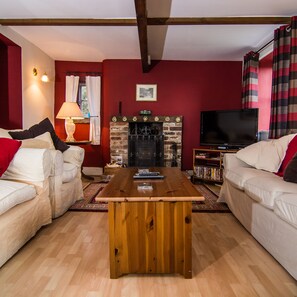 Living area with wood burning stove