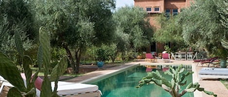 Côté sud, une piscine ensoleillée dans les oliviers, 20 m x 4 m.