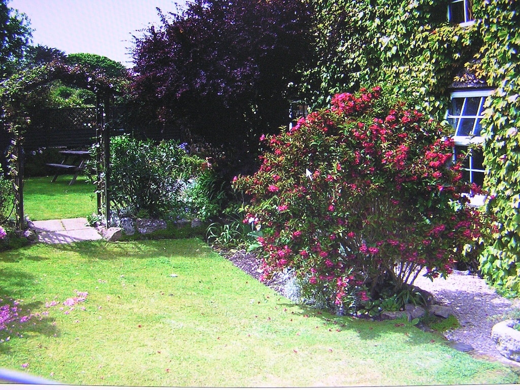 Picture of villa