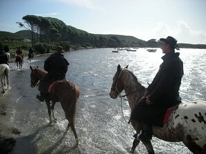 Siamo in pieno inverno, e un'escursione a cavallo è il top !