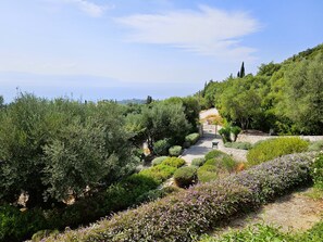 Villa Asteri gardens