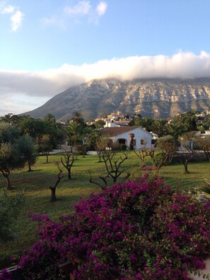 View from side balcony