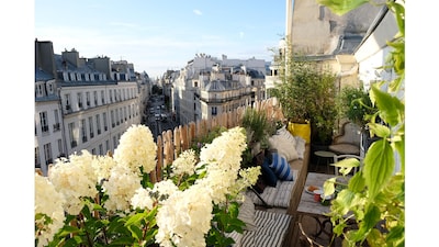 Nido en los tejados en el corazón de París con terraza
