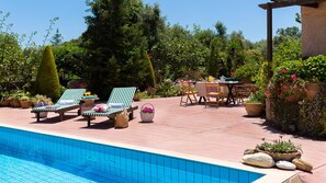 Private pool in the beautiful garden with flowers, trees and herbs!