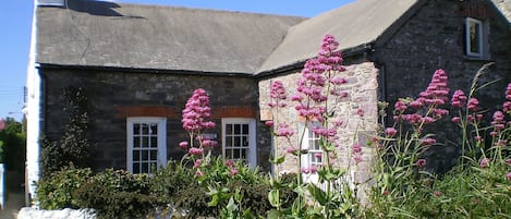 Yewdale Cottage, in the heart of St David's, 4 star, sleeps 6, stunning garden.