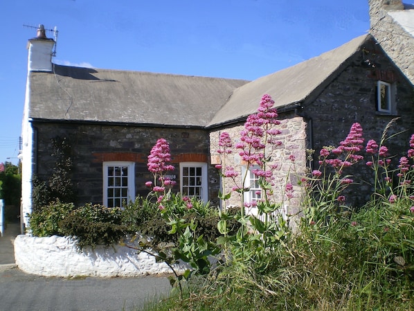 Yewdale Cottage, in the heart of St David's, 4 star, sleeps 6, stunning garden.