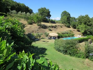 Garden and Pool