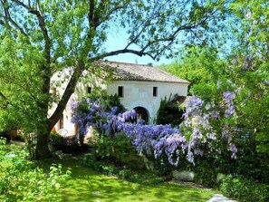 Le gîte noyé dans la verdure