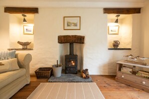 Beautiful old fireplace discovered in 2020!