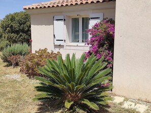 côté sud