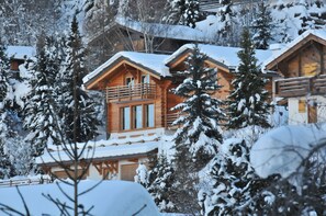 Chalet in winter