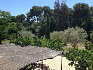 View of the garden from a bedroom