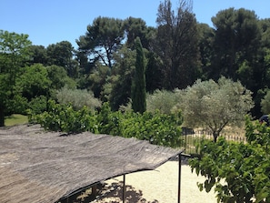 View of the garden from a bedroom