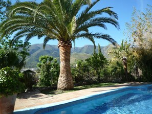 Pool, Palm, Panoramic vistas and Peace!