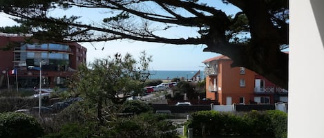 vue de la terrasse
