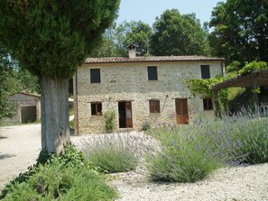 View of the house from the swimming pool