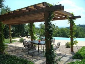 view of the infinity pool