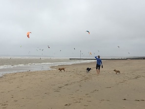 Miles of dog-friendly sandy beach right on your doorstep 